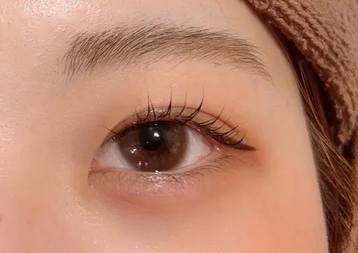 《12月限定クリスマスメニュー》🎄選べるまつ毛パーマ🎅+アイシャンプー