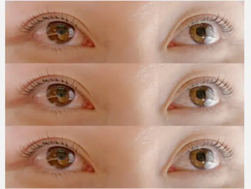 🪄口コミクーポン ラッシュリフト🪄《限定2名様》