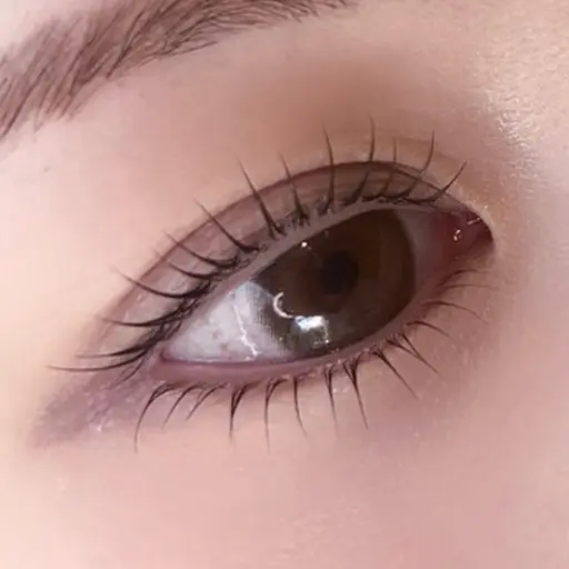 🪷新規様限定🪷1/12~16限定価格《上下まつげパーマ》 束感仕上げ付き✩