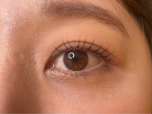 【リクエスト予約必須⚠️】パリジェンヌラッシュリフト※説明を必ずお読みください※当日予約不可※