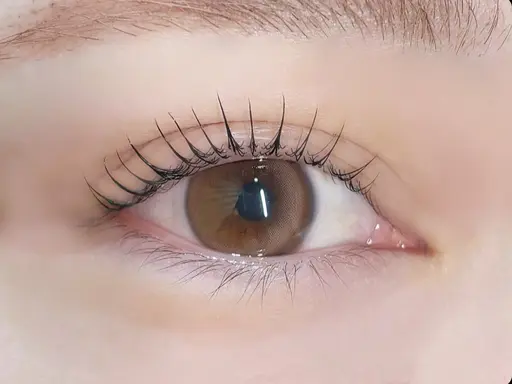 【学割U24】まつげパーマ