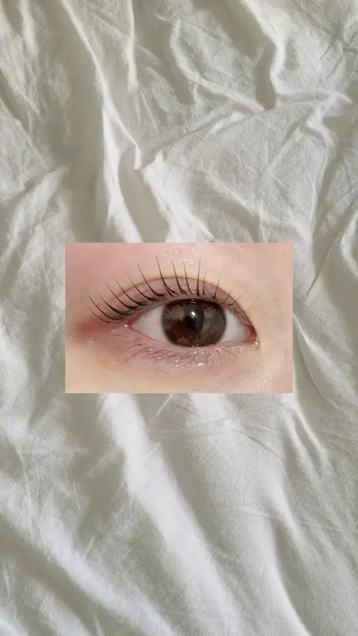 当日予約OK🙆‍♀️✨まつげパーマ🌷🫧