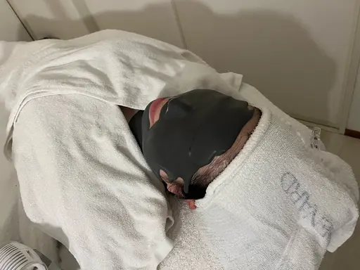 初めての方にオススメ!毛穴汚れが気になる方へ🩶アドバンスコース+クリーンパック