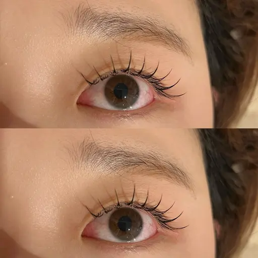 2月19日15:30~,17:00~の90分マツエク練習モデル募集✨オフなし※上記のお時間のみの募集です❗️