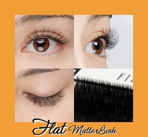 【🐹ポイント修正・仕上コーティング込み!🐹】フラットラッシュ上60本リペア✨