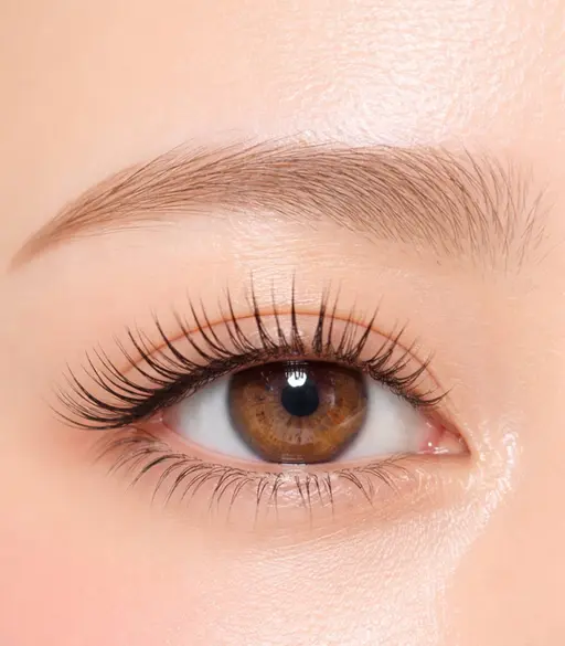 🔰無料モデル🔰【4/9(木)〜4/16(木)限定✨️】まつげパーマ♡モデル募集中♡※土日予約不可60分、0円