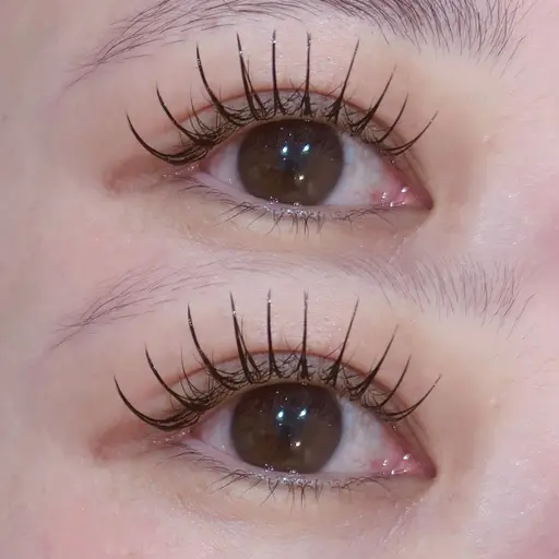 1年目デビュー価格🖤フラットラッシュ🖤【オフあり】120本🫧LED変更+500円