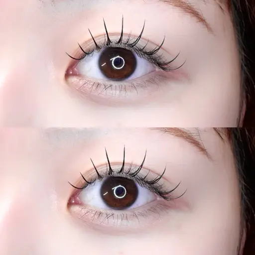 ⭐️期間限定⭐️トップアイリスト施術🧚🏻♀️【パリエク60本/Wフラット装着】