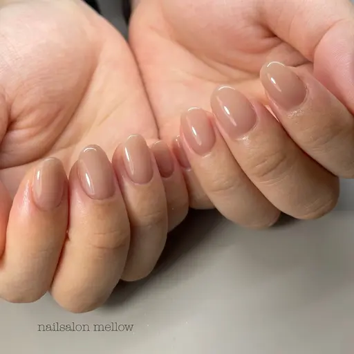 ミニも限定⭐️23日９時＊ワンカラー４,０００円