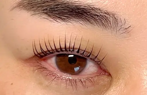 ラッシュリフト🌼👀