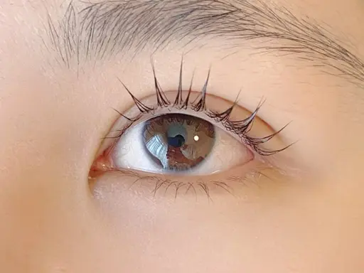 新規モニター様の募集を一時ストップしています。申し訳ありません。再開しましたらお知らせさせていただきます。