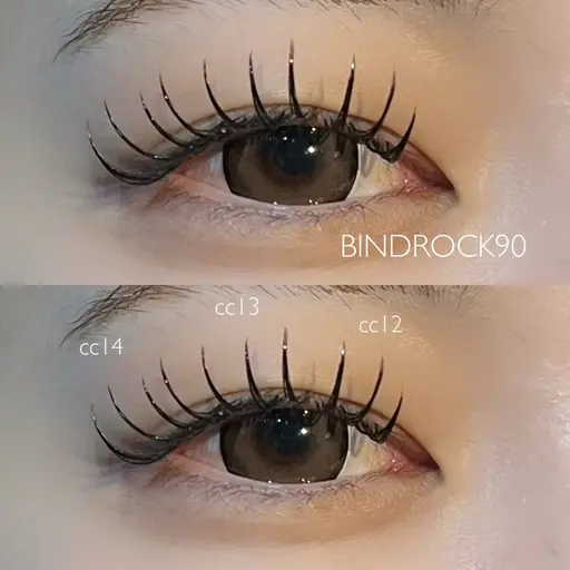 🎀〰︎︎バインドロック【80束】〰️モチの良さと濃さが欲しい方にオススメ