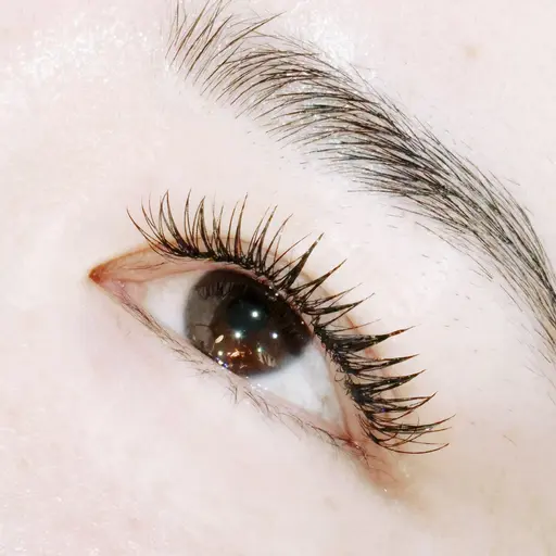 ダブルフラットラッシュ1時間半120束まで🎀シングルよりもボリューム！束感◎バインドお好きな方も🫶付替オフ＋¥550