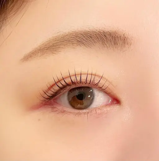 👀ラッシュリフト(まつげパーマ)