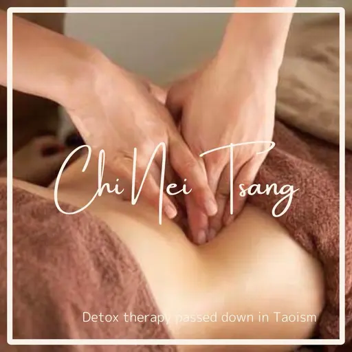 チネイザン 氣内臓 (内臓デトックス腸セラピー) 60分 腸マッサージ