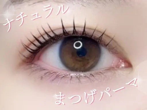 【🌸3月13日限定🌸】まつ毛パーマ👀✨