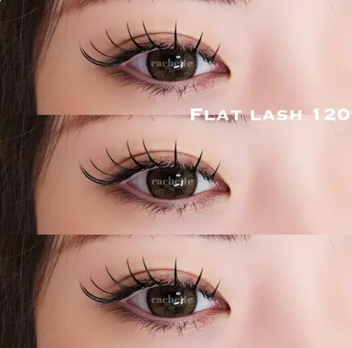 【デビュー直前割】フラットラッシュ１００本【現金のみ】