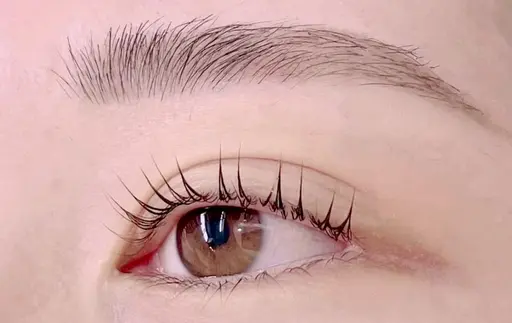 minimo限定🤍まつげパーマ【パリジェンヌorラッシュリフト】アイシャンプー＆コーティング付き