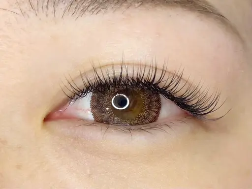 ボリュームラッシュ80束🩷（オフなし）　　　　　　　　　　　　《1月20日限定》