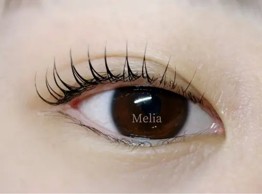 【ミニモ限定】似合わせまつげパーマ(上まつげ)  美容液コーティング付