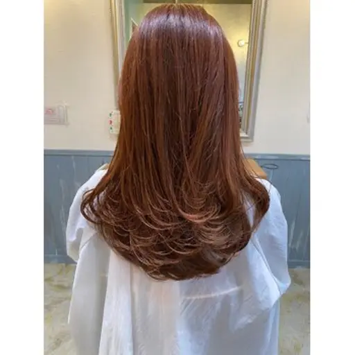 【平日限定※女性美容師マンツーマン】🌜フルカラー+カット🌛(白髪染めok)