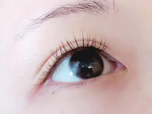 人気NO.1✨️【ミニモ限定】バインドロック✨️80束