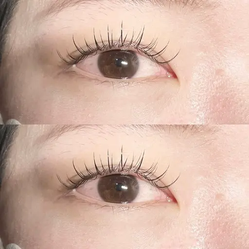 【オフ込み】ワンホンマツエク120本（片目60本ずつ）🪽