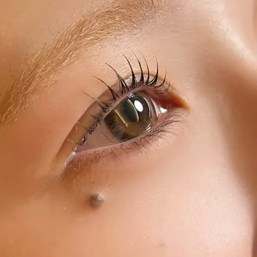 まつ毛パーマ【上】／束間コーティング仕上げ／エクステオフなし／トリートメント付き！