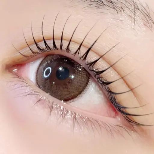 パーソナルラッシュリフト／まつげパーマ(トリートメント付)  ★下＋3000円