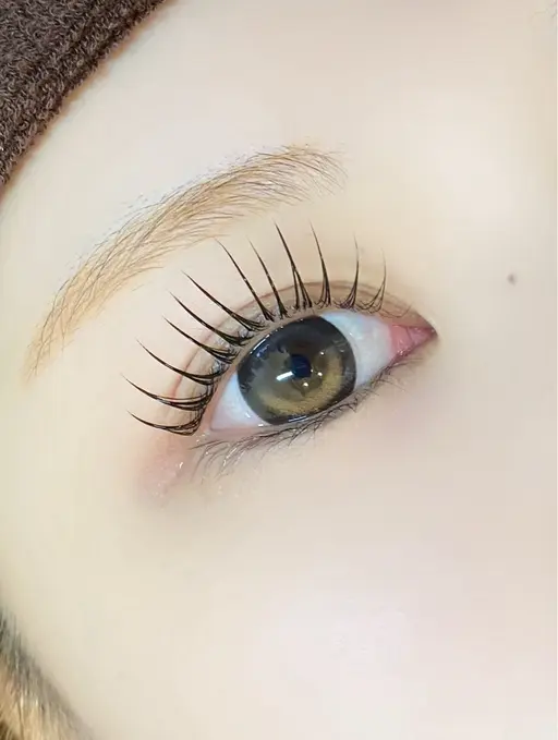 【12月平日限定】ラッシュリフト🪄＋アイシャンプー🫧