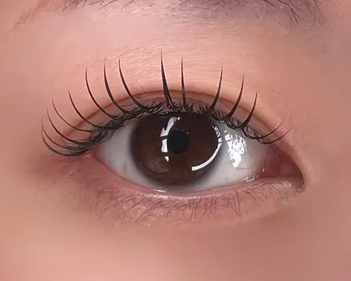 【3月限定🌸フォトコンテストモデル】フラットラッシュ※撮影OKな方※パーマ残りがない方