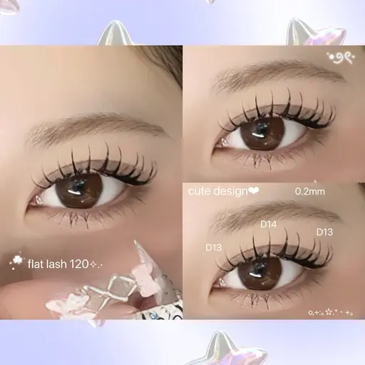 フラットラッシュ　120(オフ可)