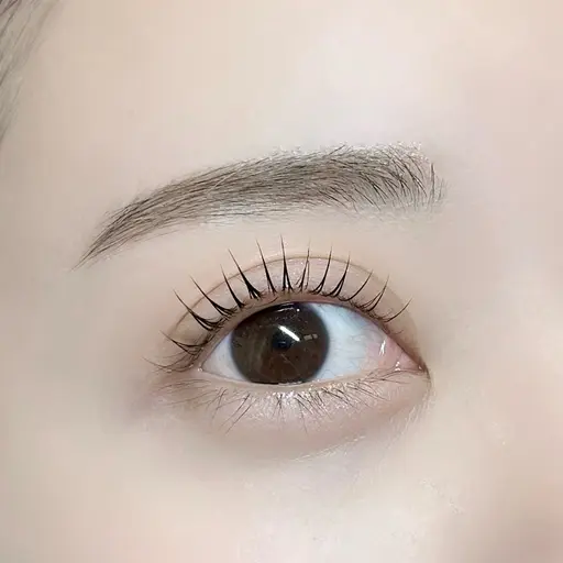 当日限定‼️まつ毛パーマ🎀