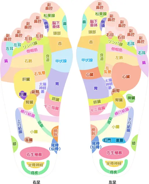 ✨‼️3月オープン記念特別価格‼️✨台湾式足つぼ25分2980円→1500円
