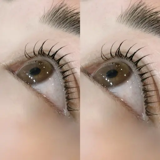 【minimo限定★】選べる♪パリジェンヌラッシュリフトorふんわりまつげパーマ★