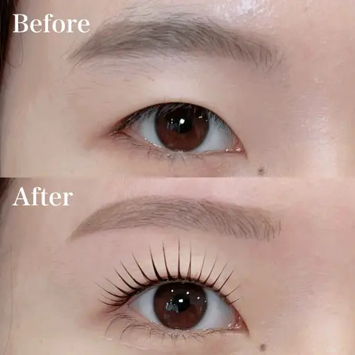 12時のみ 美眉スタイリング（眉毛のWax） 脱毛✨メイク有✨1時間❣️注意事項要確認