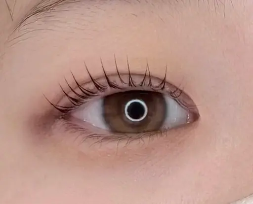 【🔶ご新規様限定🔶】ラッシュリフト✨コーティング付き