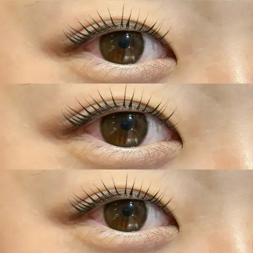 🎄12月限定🎄次世代まつ毛パーマorパリジェンヌ🤍束感🤍美容液コーティング付🤍