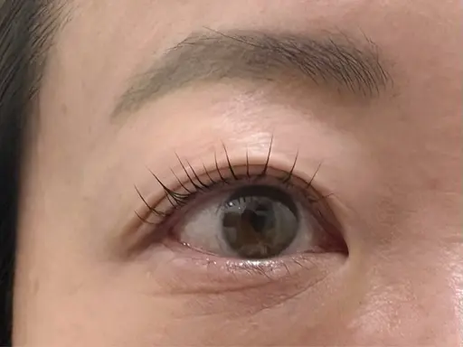 🎀パリジェンヌラッシュリフトモデル🎀4/17まで