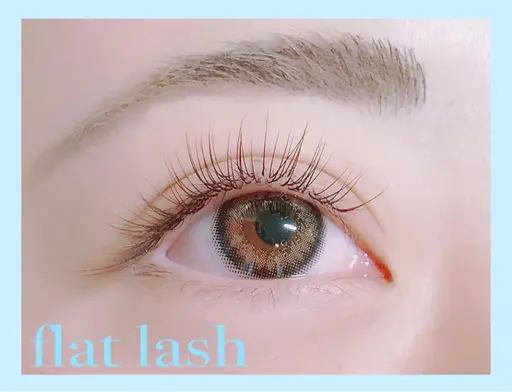 【練習モデルさん】フラットラッシュ80本