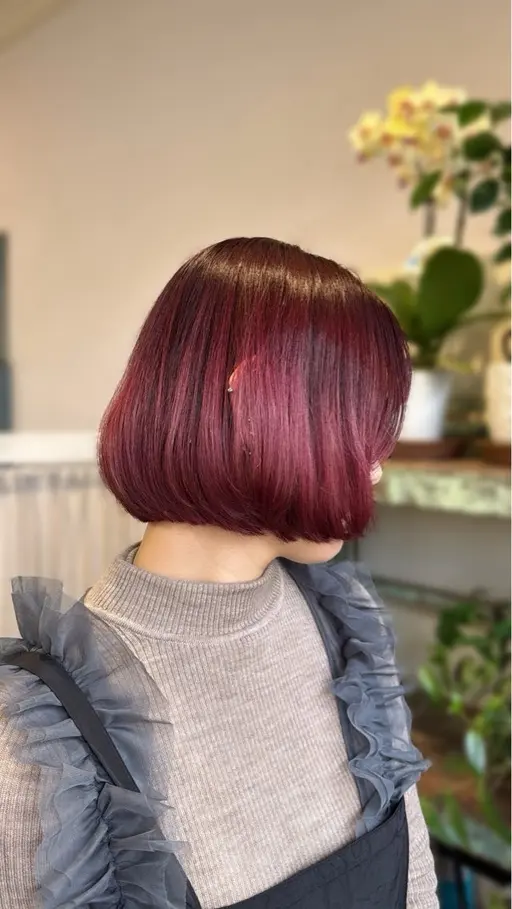 カット➕システムトリートメント