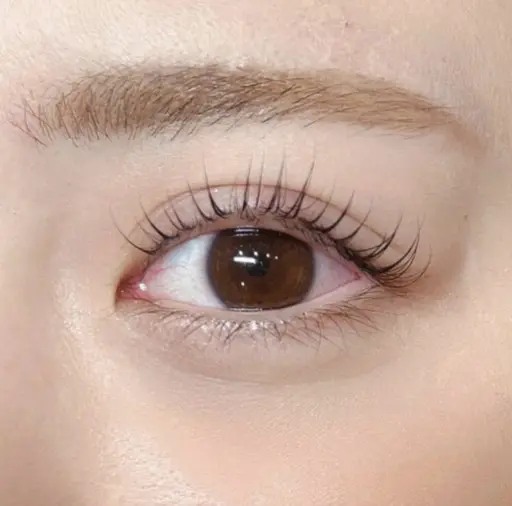 【 新規様限定 】 まつ毛パーマ モデル 上のみ 👀✨ お仕上げコーティング付き💖