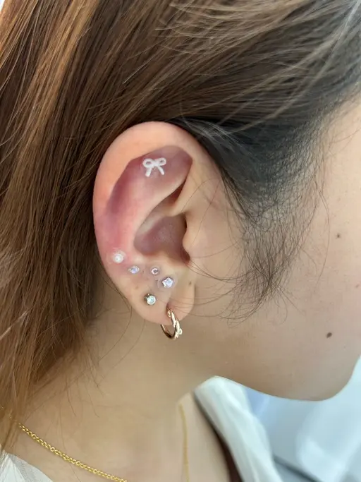 限定価格​〜​耳つぼジュエリー👂🏻💎✨🎀[15粒]