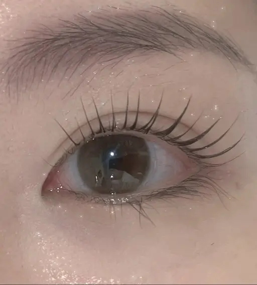 🆕ロッド　立ち上げの形　本日限定一名様🔥