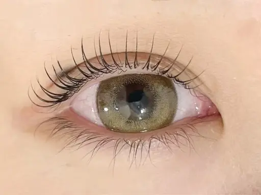 ⭐まつ毛パーマorパリジェンヌ🧚ミニモ限定/オフ無し限定💜