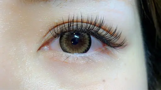 バインドロック80本(シングル100〜120本相当✨)