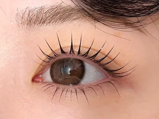 【束感まつ毛❣️】大流行🩵まつエク×まつ毛パーマ【LED】モニター様募集