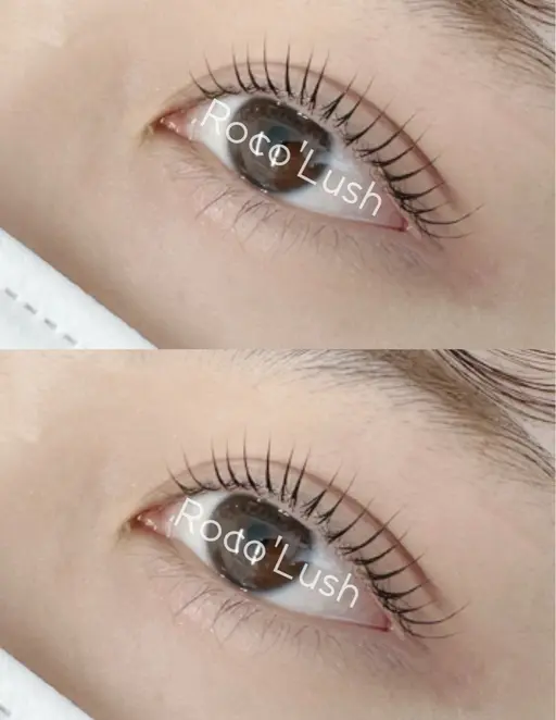 12/30,31限定🌟【上下まつ毛パーマ👀✨】上パリジェンヌ or マツパ　お選びできます🩵