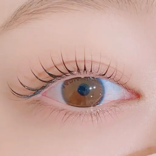 上ラッシュリフト＋ブラックティント🫧お目元のお写真数枚撮らせていただきます🙇‍♀️アイシャンプートリートメント付き