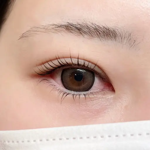 上下ラッシュリフト練習モデル様(パリジェンヌラッシュリフト、カール、立ち上げデザイン可能)